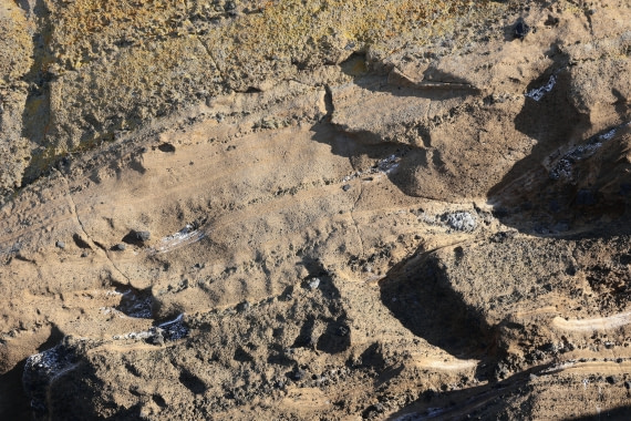 OTL22-25, Day 5, IMG_5471.JPG © Beth Hitchcock - Oceanwide Expeditions.JPG