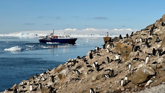 OTL22-25, Day 5, IMG_6840.jpeg © Allan White - Oceanwide Expeditions.jpeg