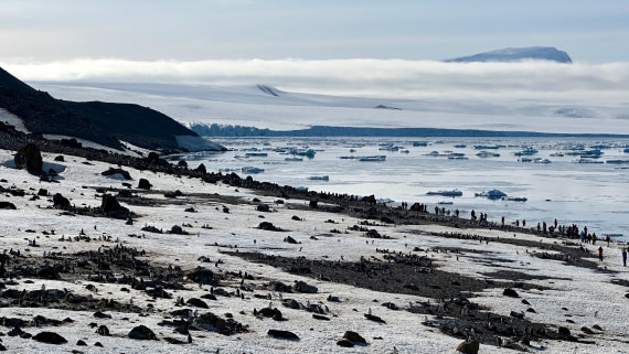 OTL22-25, Day 5, IMG_6842.jpeg © Allan White - Oceanwide Expeditions.jpeg