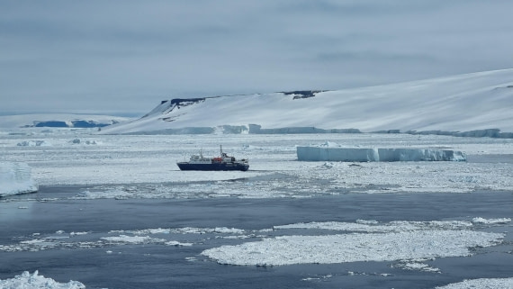 OTL22-25, Day 6, 16Nov2025-Gary Miller-Ortelius in sea ice.jpg © Gary Miller - Oceanwide Expeditions.jpg