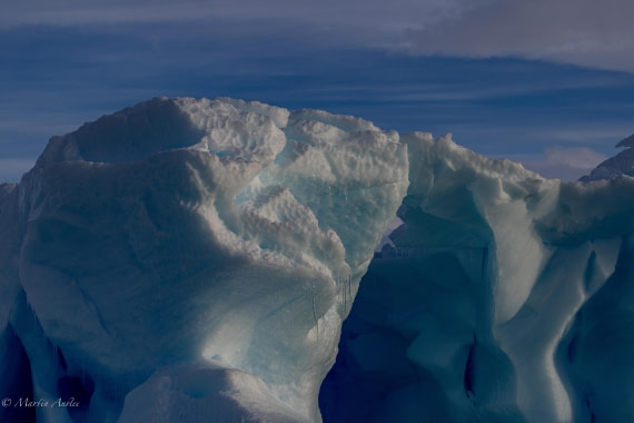 OTL22-25, Day 7, 0Q9A4834.jpg © Martin Anstee - Oceanwide Expeditions.jpg