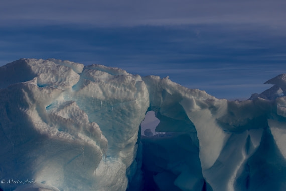 OTL22-25, Day 7, 0Q9A4836.jpg © Martin Anstee - Oceanwide Expeditions.jpg