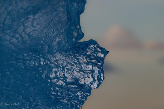 OTL22-25, Day 7, 0Q9A4856.jpg © Martin Anstee - Oceanwide Expeditions.jpg