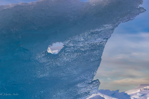 OTL22-25, Day 7, 0Q9A4864.jpg © Martin Anstee - Oceanwide Expeditions.jpg