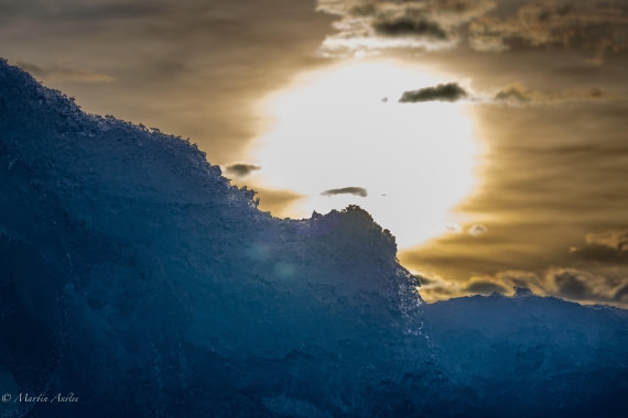 OTL22-25, Day 7, 0Q9A4872.jpg © Martin Anstee - Oceanwide Expeditions.jpg