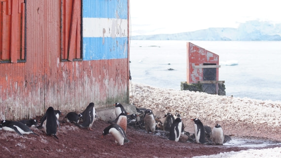 OTL22-25, Day 7, DSC00263.JPG © Jess Owen - Oceanwide Expeditions.JPG