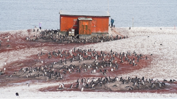 OTL22-25, Day 7, DSC00357.JPG © Jess Owen - Oceanwide Expeditions.JPG