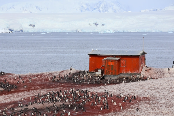 OTL22-25, Day 7, IMG_5595.JPG © Beth Hitchcock - Oceanwide Expeditions.JPG