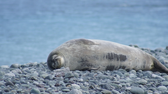 OTL22-25, Day 8, DSC00385.JPG © Jess Owen - Oceanwide Expeditions.JPG