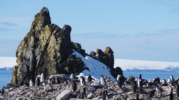 OTL22-25, Day 8, DSC00451.JPG © Jess Owen - Oceanwide Expeditions.JPG