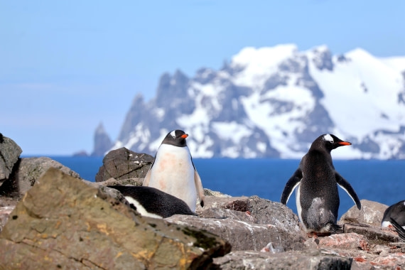 OTL22-25, Day 8, IMG_5628.JPG © Beth Hitchcock - Oceanwide Expeditions.JPG