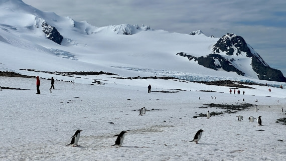 OTL22-25, Day 8, IMG_6975.jpeg © Allan White - Oceanwide Expeditions.jpeg