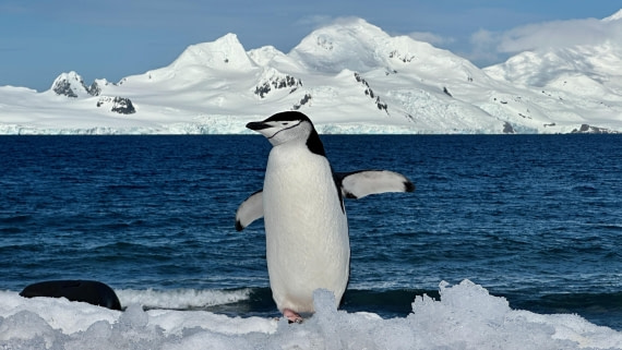 OTL22-25, Day 8, IMG_6978.jpeg © Allan White - Oceanwide Expeditions.jpeg