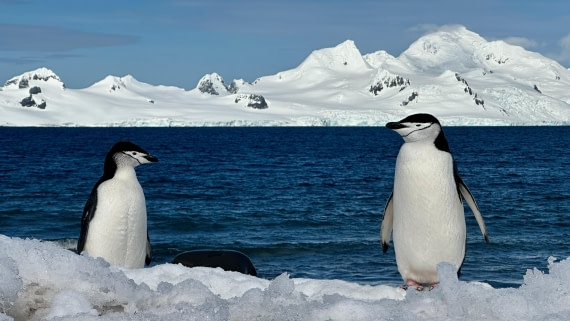 OTL22-25, Day 8, IMG_6980.jpeg © Allan White - Oceanwide Expeditions.jpeg