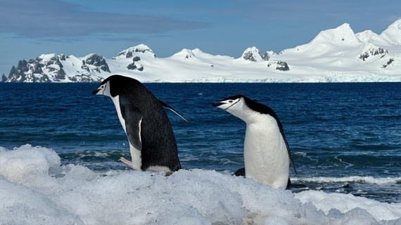 OTL22-25, Day 8, IMG_6987.jpeg © Allan White - Oceanwide Expeditions.jpeg