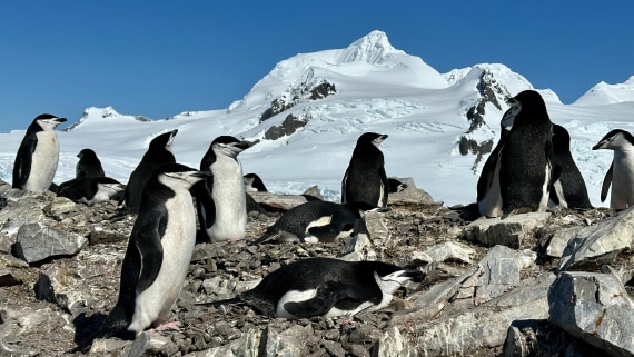 OTL22-25, Day 8, IMG_7019.jpeg © Allan White - Oceanwide Expeditions.jpeg