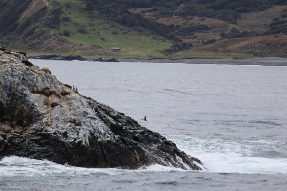 OTL22-25, Day 10, IMG_5787.JPG © Beth Hitchcock - Oceanwide Expeditions.JPG