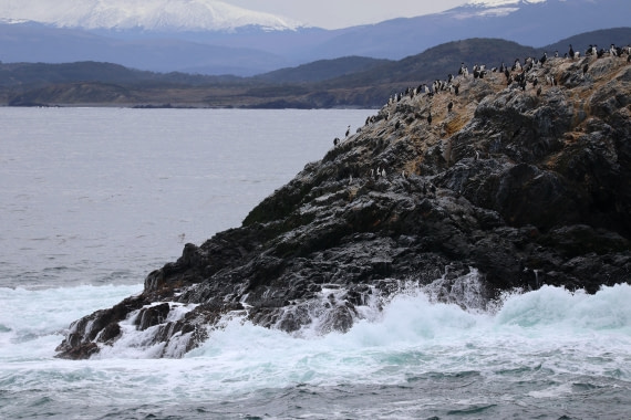 OTL22-25, Day 10, IMG_5788.JPG © Beth Hitchcock - Oceanwide Expeditions.JPG