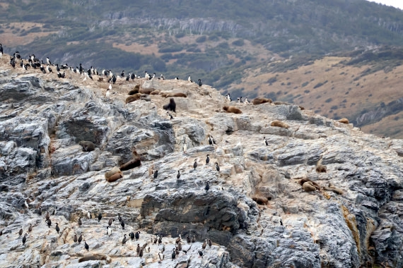 OTL22-25, Day 10, IMG_5790.JPG © Beth Hitchcock - Oceanwide Expeditions.JPG