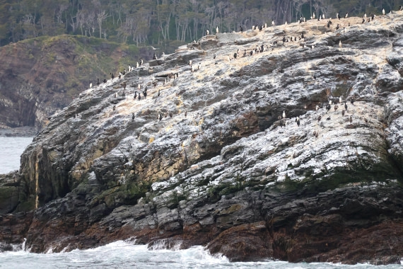 OTL22-25, Day 10, IMG_5797.JPG © Beth Hitchcock - Oceanwide Expeditions.JPG