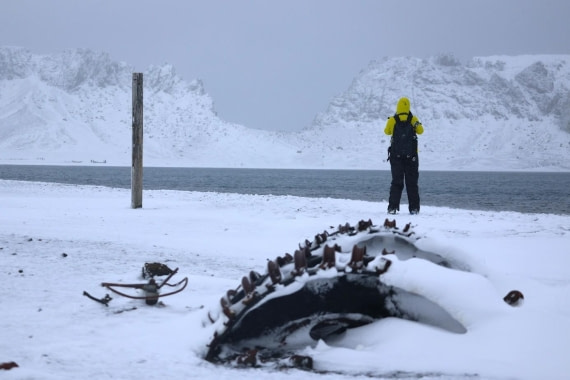 OTL23-25, Day 3, Picture12.jpg © Unknown photographer - Oceanwide Expeditions.jpg