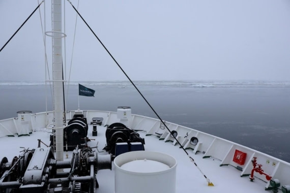 OTL23-25, Day 7, Picture26.jpg © Unknown photographer - Oceanwide Expeditions.jpg