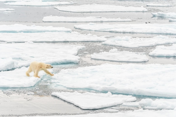 walking in the street