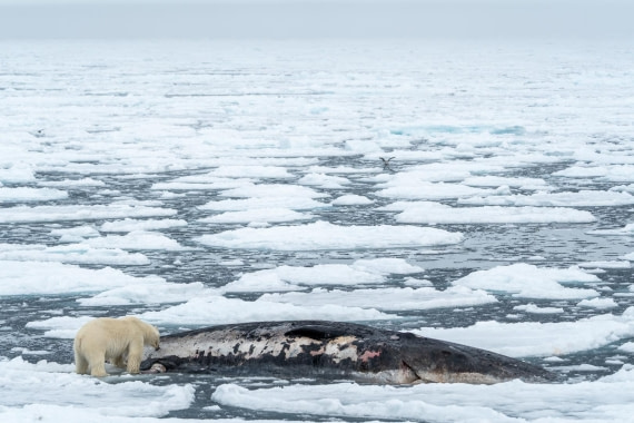 unexpected encounters