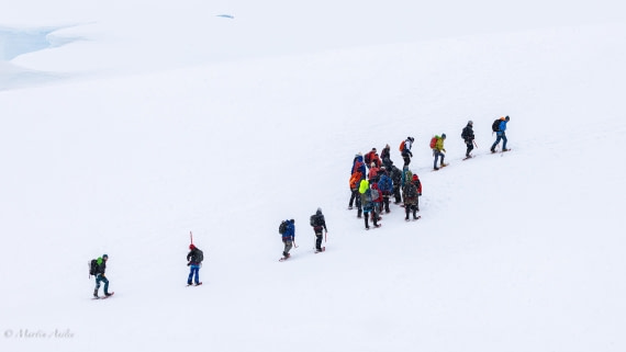 HDS23-25, Day 4, 0Q9A6148 © Martin Anstee - Oceanwide Expeditions.jpg