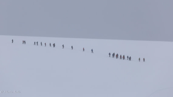 HDS23-25, Day 4, 0Q9A6281 © Martin Anstee - Oceanwide Expeditions.jpg