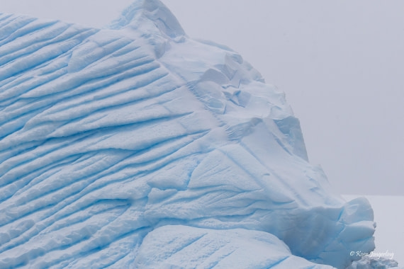 HDS23-25, Day 4, 5D5A9687 © Koen Jongerling - Oceanwide Expeditions.jpg