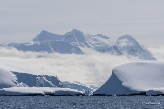 HDS23-25, Day 4, 5D5A9768 © Koen Jongerling - Oceanwide Expeditions.jpg