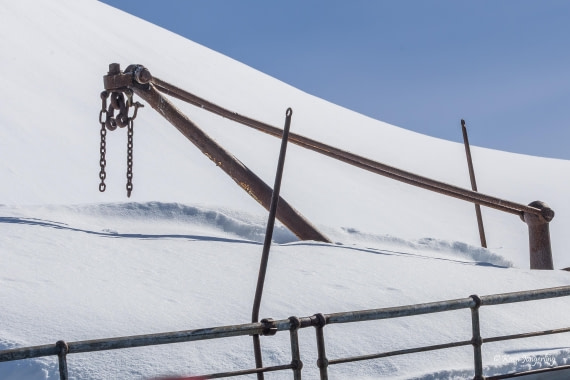 HDS23-25, Day 4, 5D5A9801 © Koen Jongerling - Oceanwide Expeditions.jpg