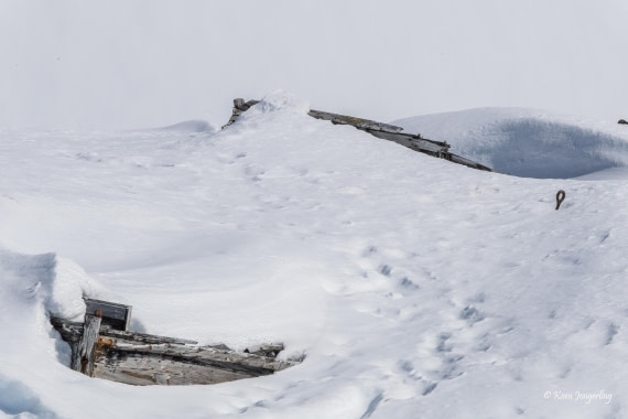 HDS23-25, Day 4, 5D5A9810 © Koen Jongerling - Oceanwide Expeditions.jpg