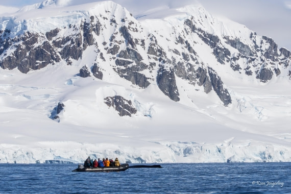 HDS23-25, Day 4, 5D5A9842 © Koen Jongerling - Oceanwide Expeditions.jpg