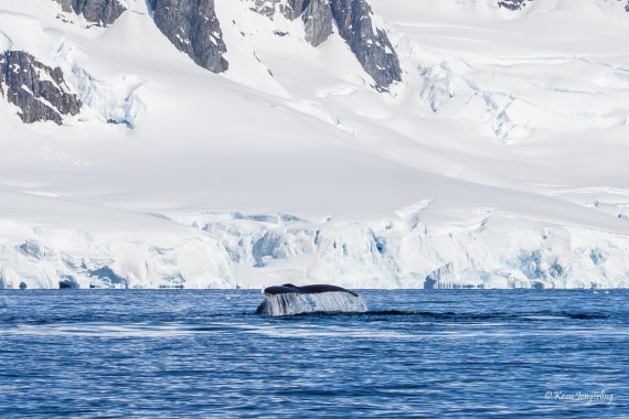 HDS23-25, Day 4, 5D5A9846 © Koen Jongerling - Oceanwide Expeditions.jpg