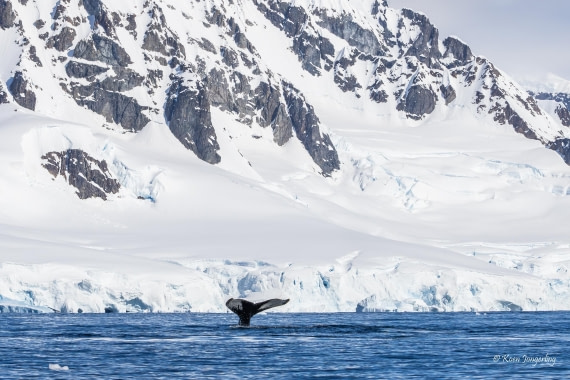 HDS23-25, Day 4, 5D5A9847 © Koen Jongerling - Oceanwide Expeditions.jpg