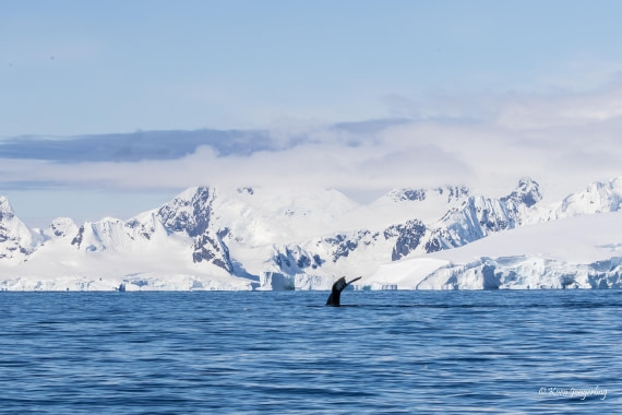 HDS23-25, Day 4, 5D5A9852 © Koen Jongerling - Oceanwide Expeditions.jpg