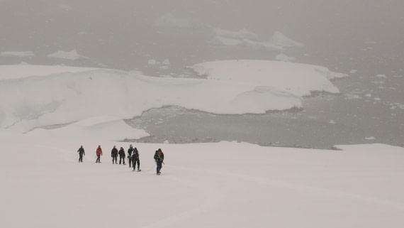 HDS23-25, Day 4, APMG6250 © Andy Perkins - Oceanwide Expeditions.JPG