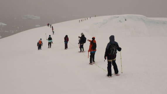 HDS23-25, Day 4, APMG6260 © Andy Perkins - Oceanwide Expeditions.JPG