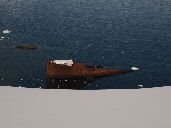 HDS23-25, Day 4, APMG6304 © Andy Perkins - Oceanwide Expeditions.JPG