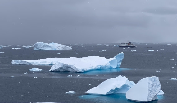 HDS23-25, Day 4, IMG_7454 © Unknown photographer - Oceanwide Expeditions.jpg