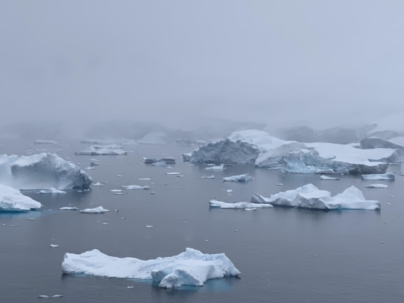 HDS23-25, Day 4, IMG_7497 © Unknown photographer - Oceanwide Expeditions.JPG