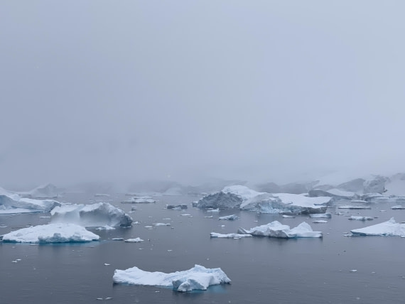 HDS23-25, Day 4, IMG_7498 © Unknown photographer - Oceanwide Expeditions.JPG