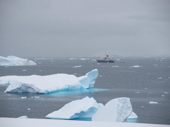 HDS23-25, Day 4, P1022775 © Unknown photographer - Oceanwide Expeditions.JPG