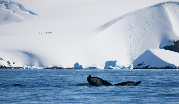 HDS23-25, Day 4, P1022852 © Unknown photographer - Oceanwide Expeditions.JPG