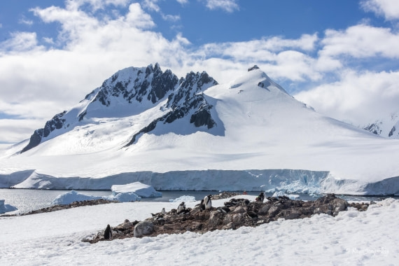 HDS23-25, Day 5, 5D5A9891 © Koen Jongerling - Oceanwide Expeditions.jpg