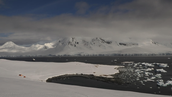 HDS23-25, Day 5, APMG6312 © Andy Perkins - Oceanwide Expeditions.JPG