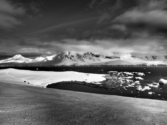 HDS23-25, Day 5, APMG6315 © Andy Perkins - Oceanwide Expeditions.JPG