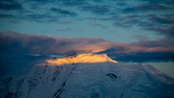 HDS23-25, Day 5, RLO_6323 © Alexander Romanovskiy - Oceanwide Expeditions.jpg